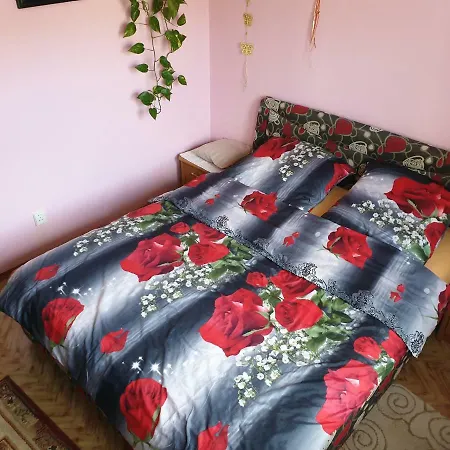 Rodzinne Mieszkanie W Centrum Apartament